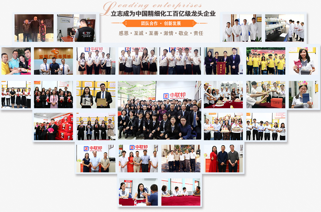 中联邦企业与研发实力展示